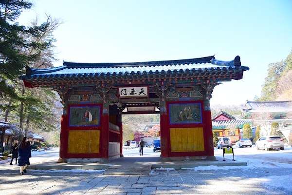 Woljeongsa Temple & Fir Tree Forest 4