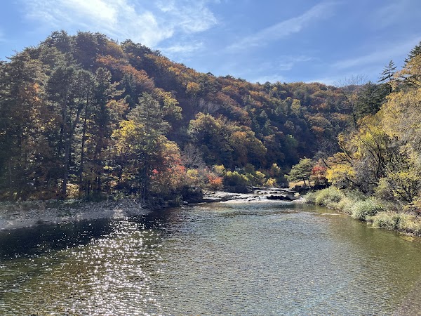 Woljeongsa Temple & Fir Tree Forest 2