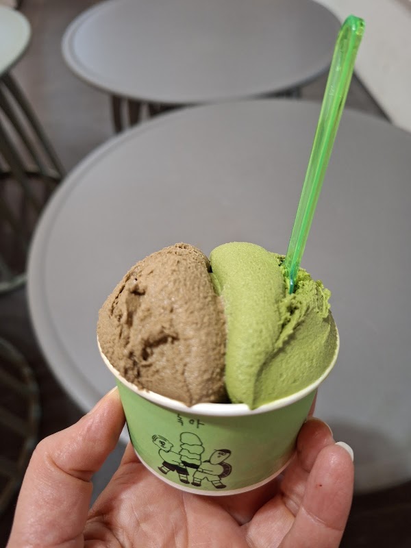 NOKA綠芽 4