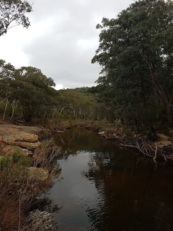 Little River 1