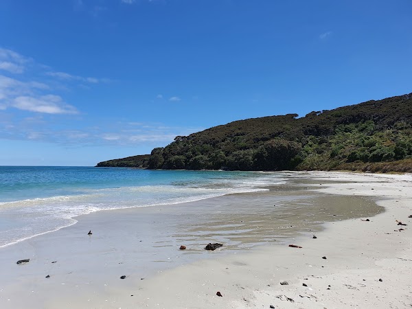 Rangiputa Beach