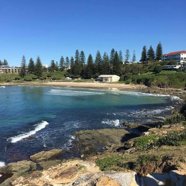 Qld 10