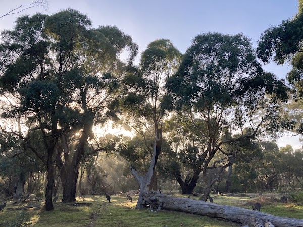 Plenty Gorge Park (Parks Victoria) 4