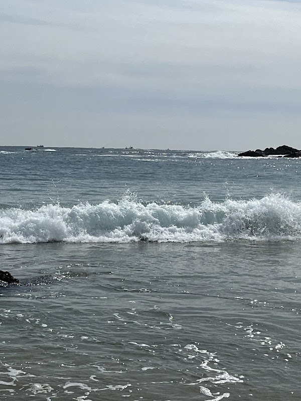 석병1리 방파제 4
