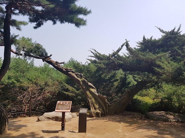 Uireung (Tomb of King Gyeongjong & Queen Seonui) 2