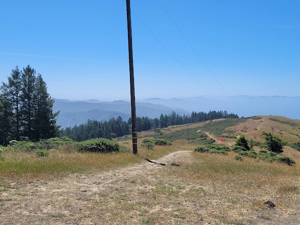 Dipsea Trail 1