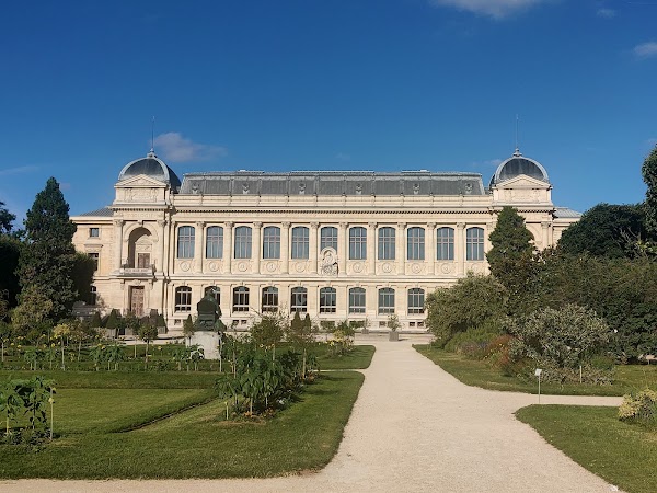 Paris 35