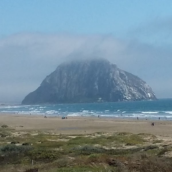 Morro Estuary Natural Preserve