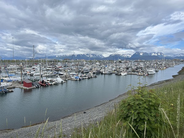 Homer Spit 5