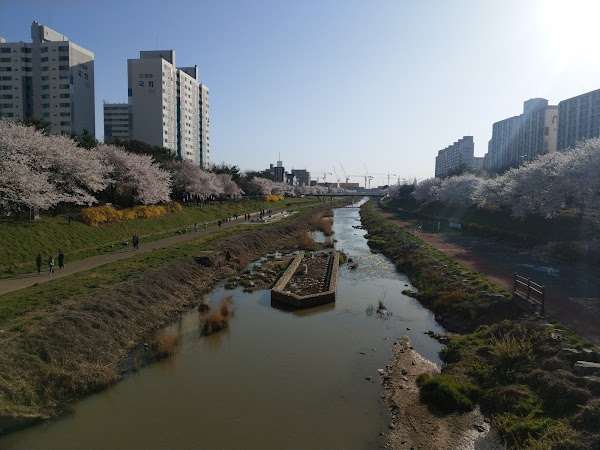 Suwoncheon 5