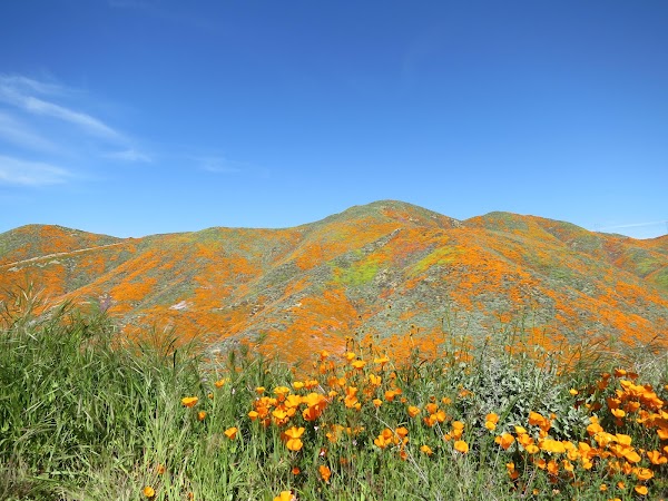 Walker Canyon