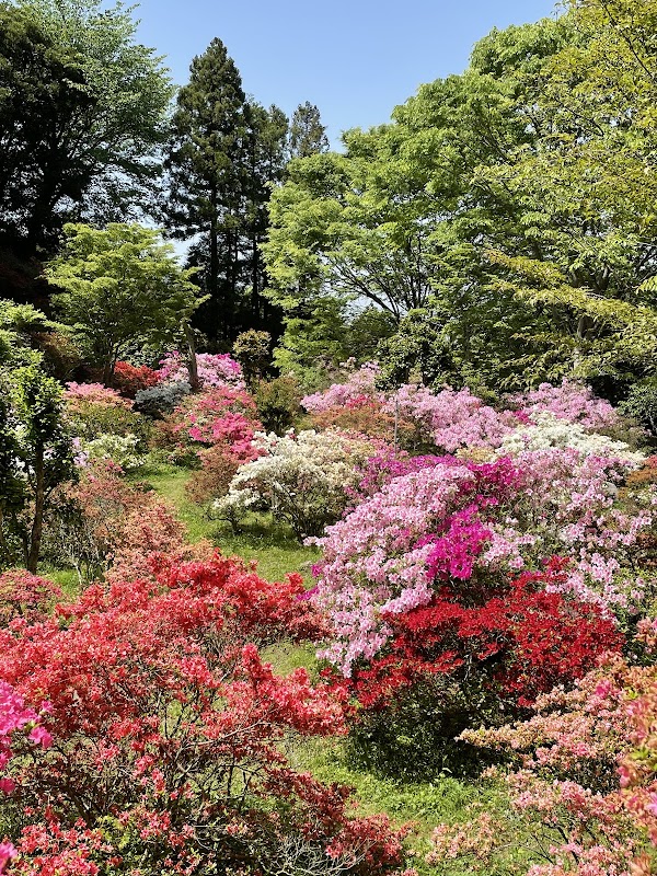 浮嶽 幸花樹園