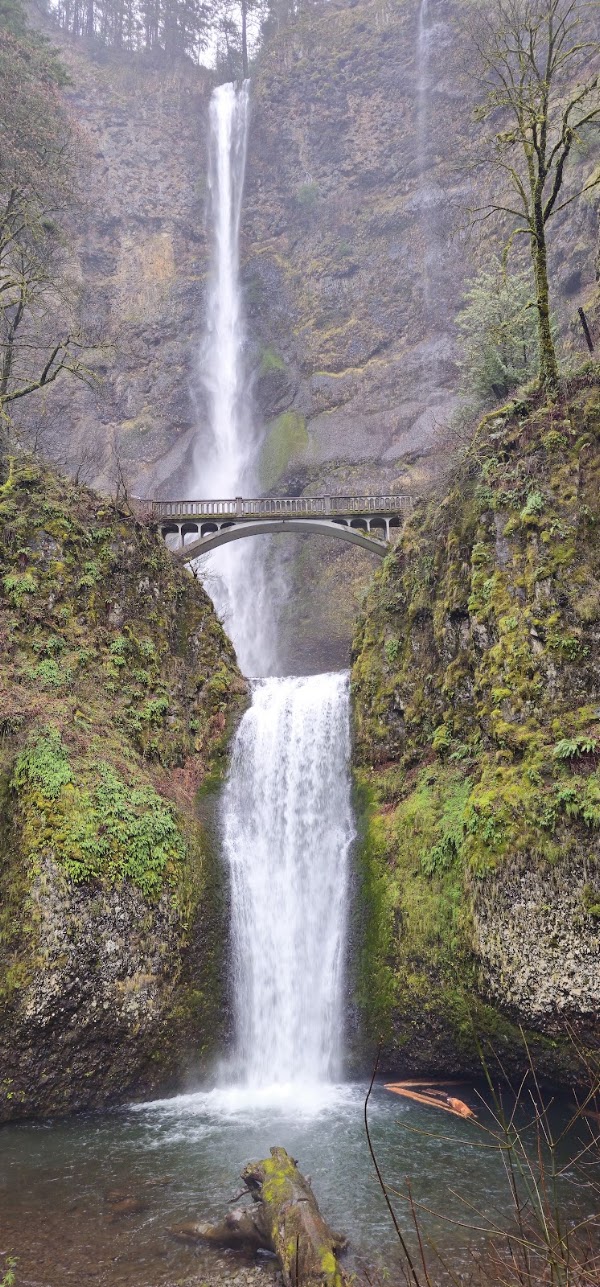Multnomah Falls 5