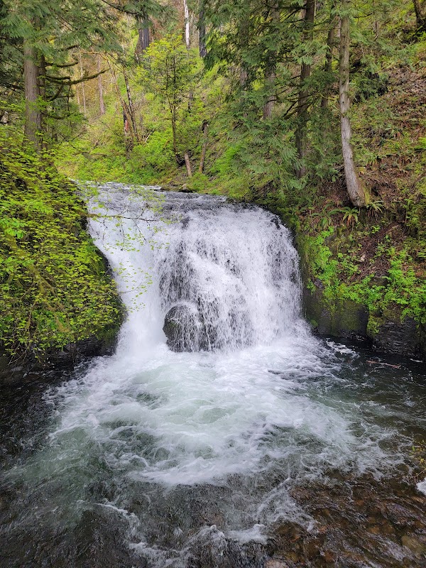 Multnomah Falls 4