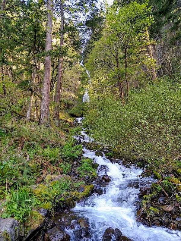 Multnomah Falls 2