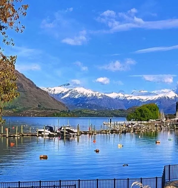 Lake Wānaka Outlet Track (Albert Town end) 4