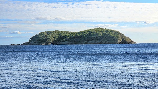 île Verte 5