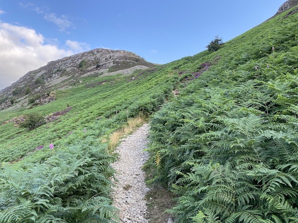 Glenridding Dodd 3