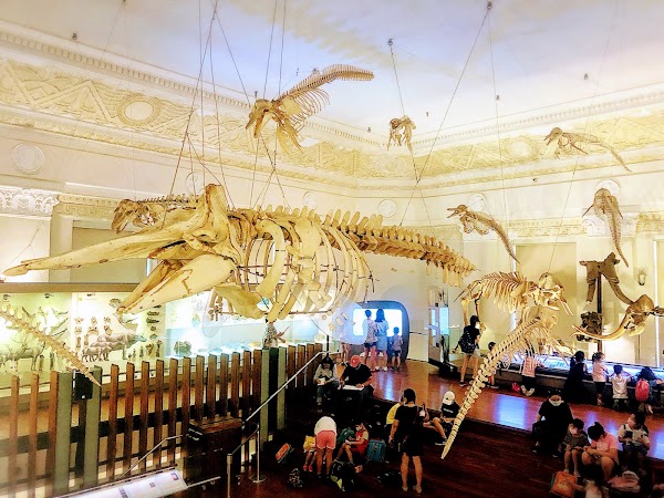 Land Bank Exhibition Hall of National Taiwan Museum 4