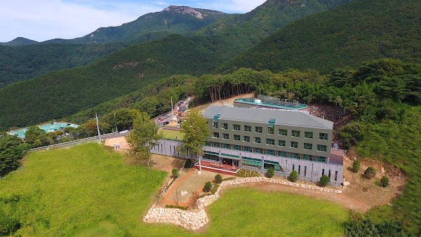 Hotel Azalea 1
