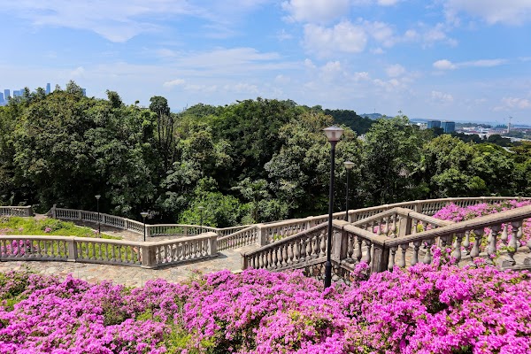 Telok Blangah Hill Park 4