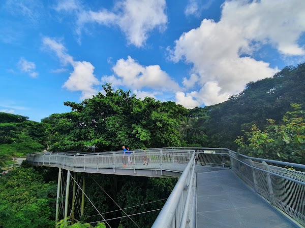 Telok Blangah Hill Park 2