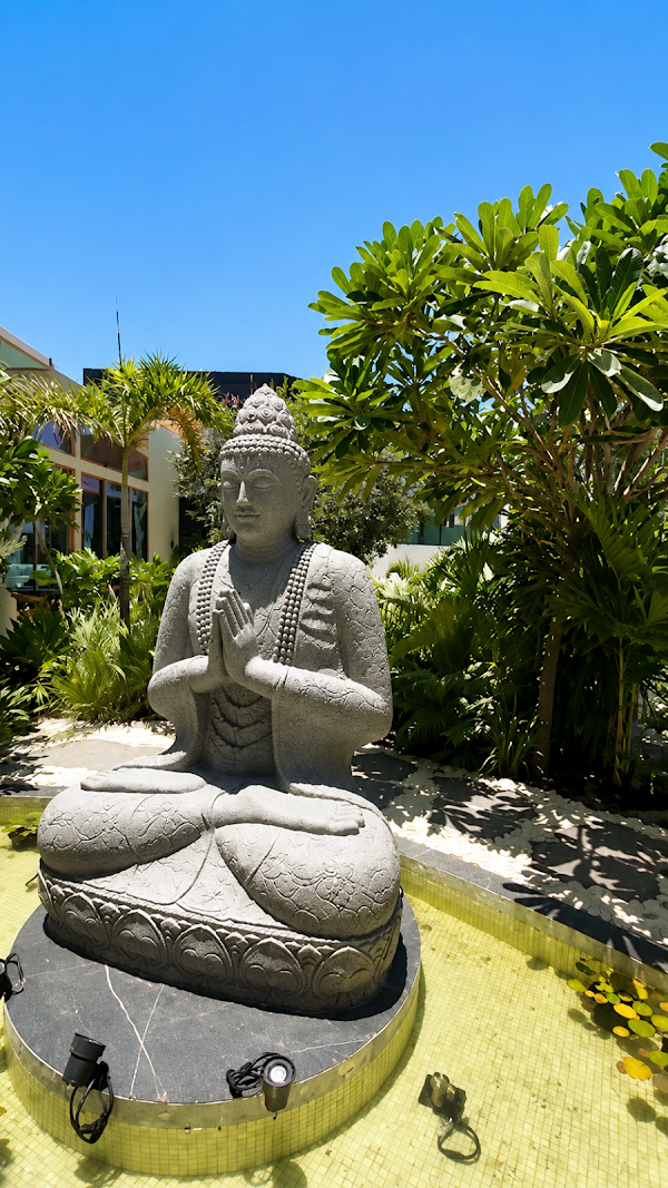 Sohum Wellness Sanctuary
