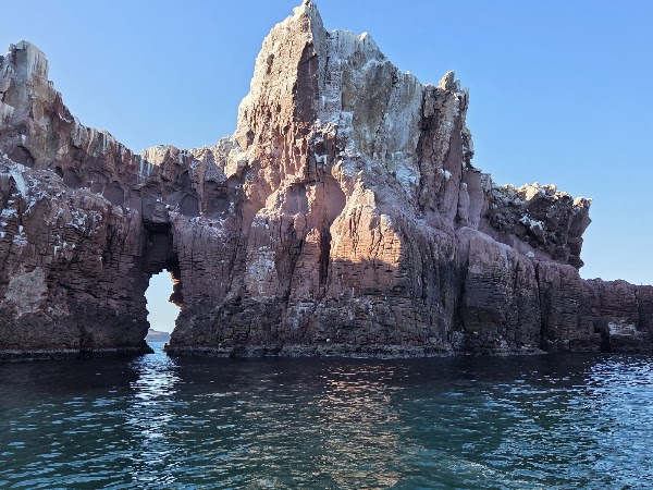 Sealion Nursery