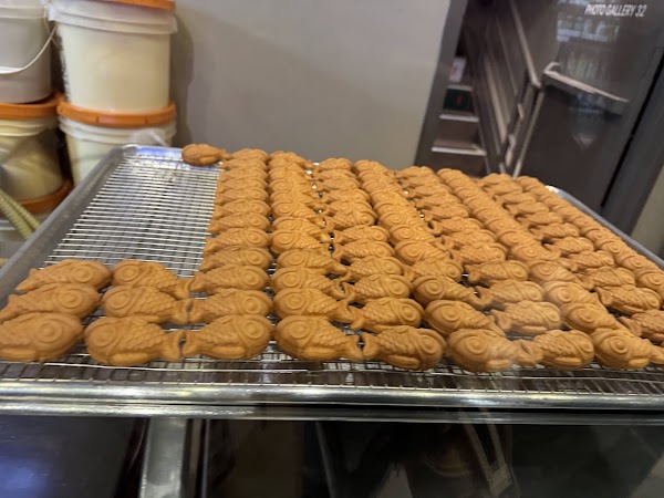 Food Gallery 32 2