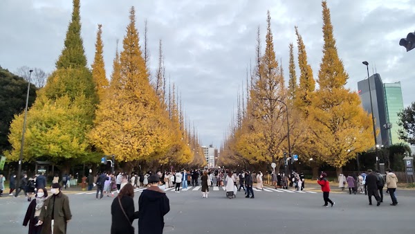 Yoyogi 5