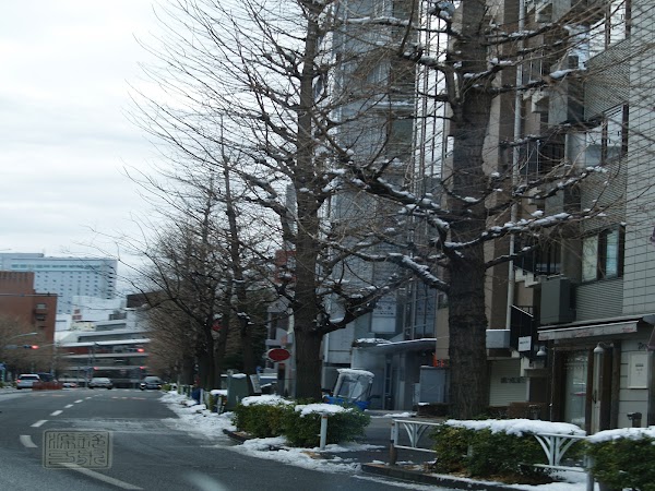 Yoyogi 2