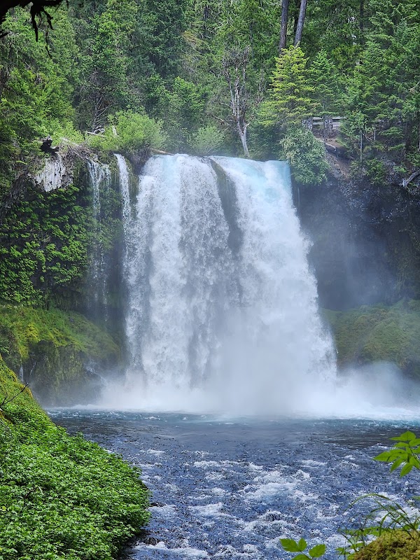 PNW 18
