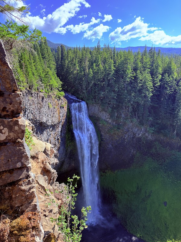 Willamette National Forest 5