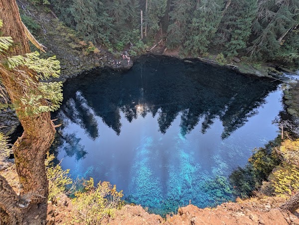 Willamette National Forest 4