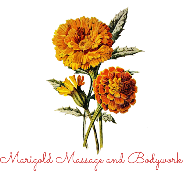 Marigold Massage and Bodywork, LLC