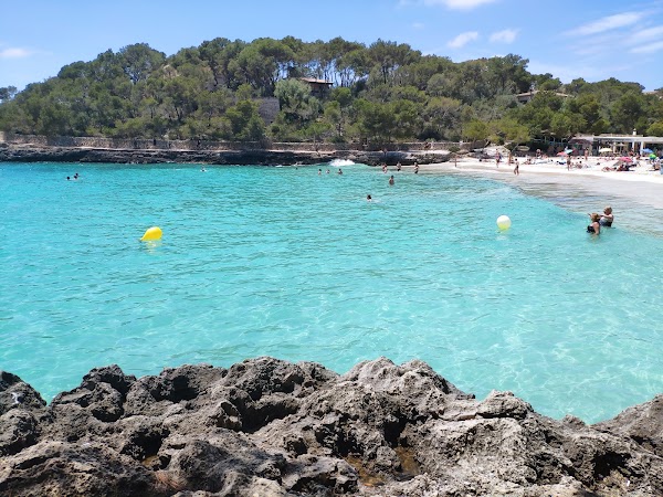 Cala Santanyí 2