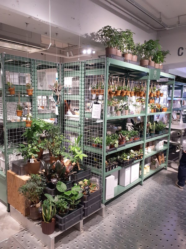 3COINS Harajuku Main Store 2