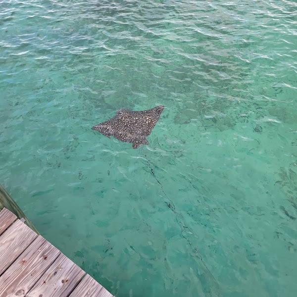 Baha Mar Casino 2