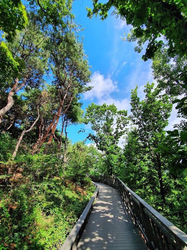 Yongwangsan Neighborhood Park 4