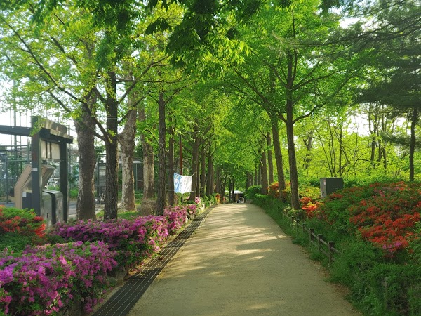 Yongwangsan Neighborhood Park 2