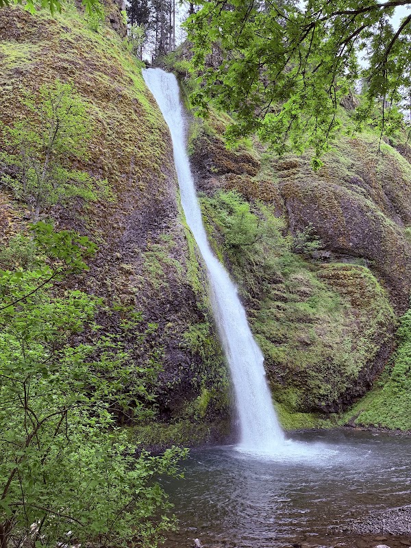 Ponytail Falls