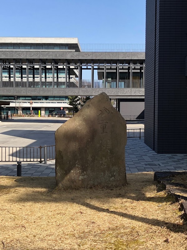 Nara Park Bus Terminal