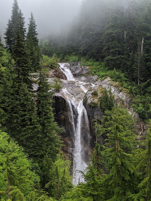 PNW 42