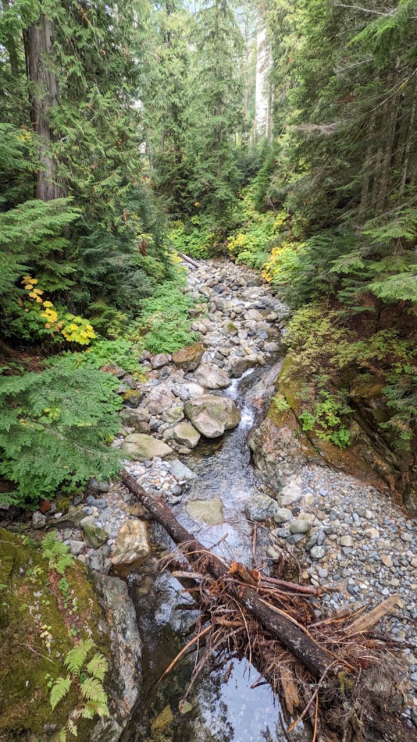 Keekwulee Falls 2