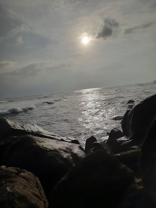 Coconut Tree Hill 3