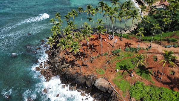 Coconut Tree Hill 2