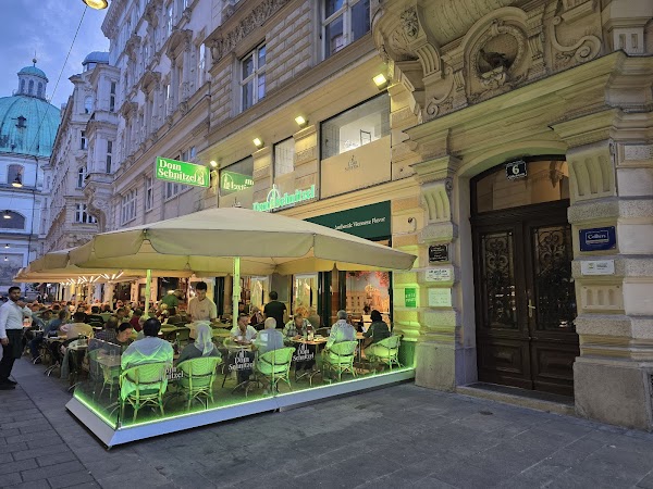 Dom Schnitzel