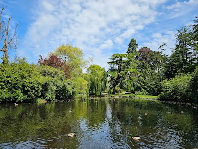 Beacon Hill Park