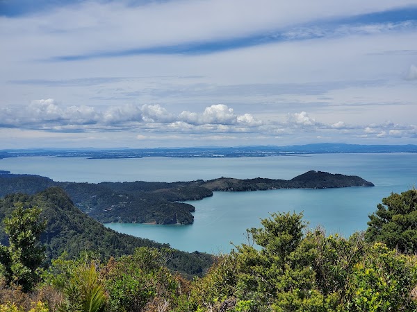 Donald Mclean Lookout