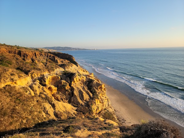 Torrey Pines State Natural Reserve 5